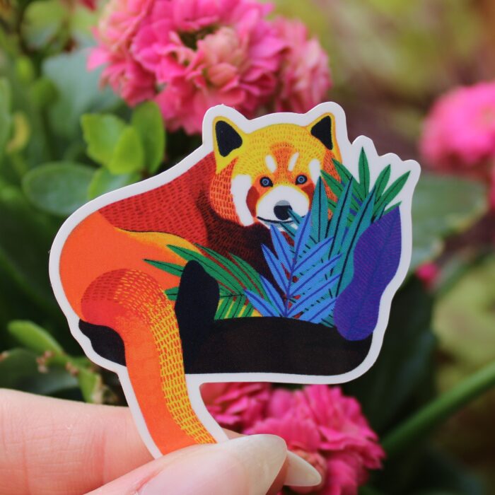 sticker-panda-roux-orane-sigal-sigalerie-2