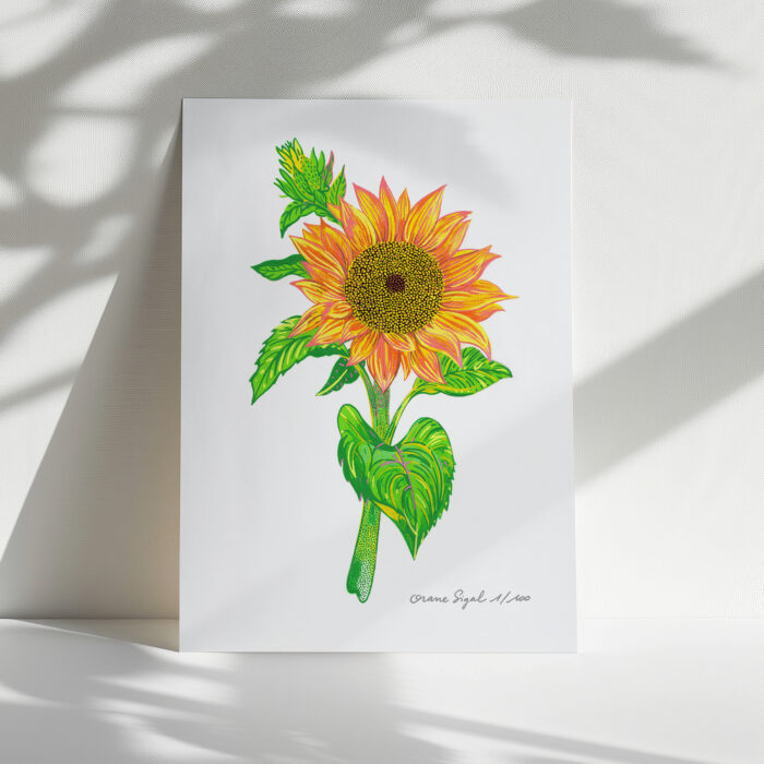 tournesol-orane-sigal-lasigalerie-tirage-art-illustration-lyon-2