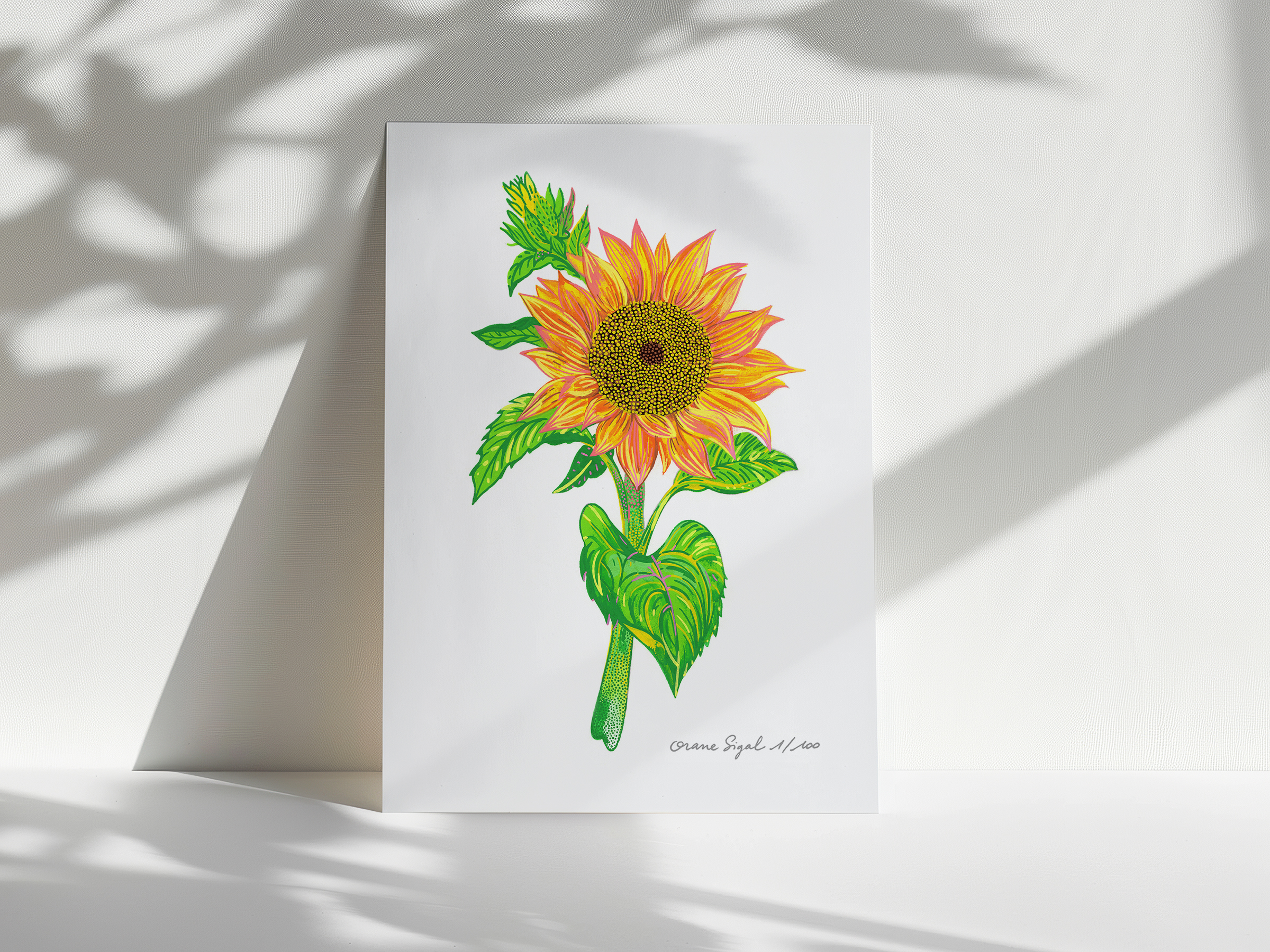 tournesol-orane-sigal-lasigalerie-tirage-art-illustration-lyon-2