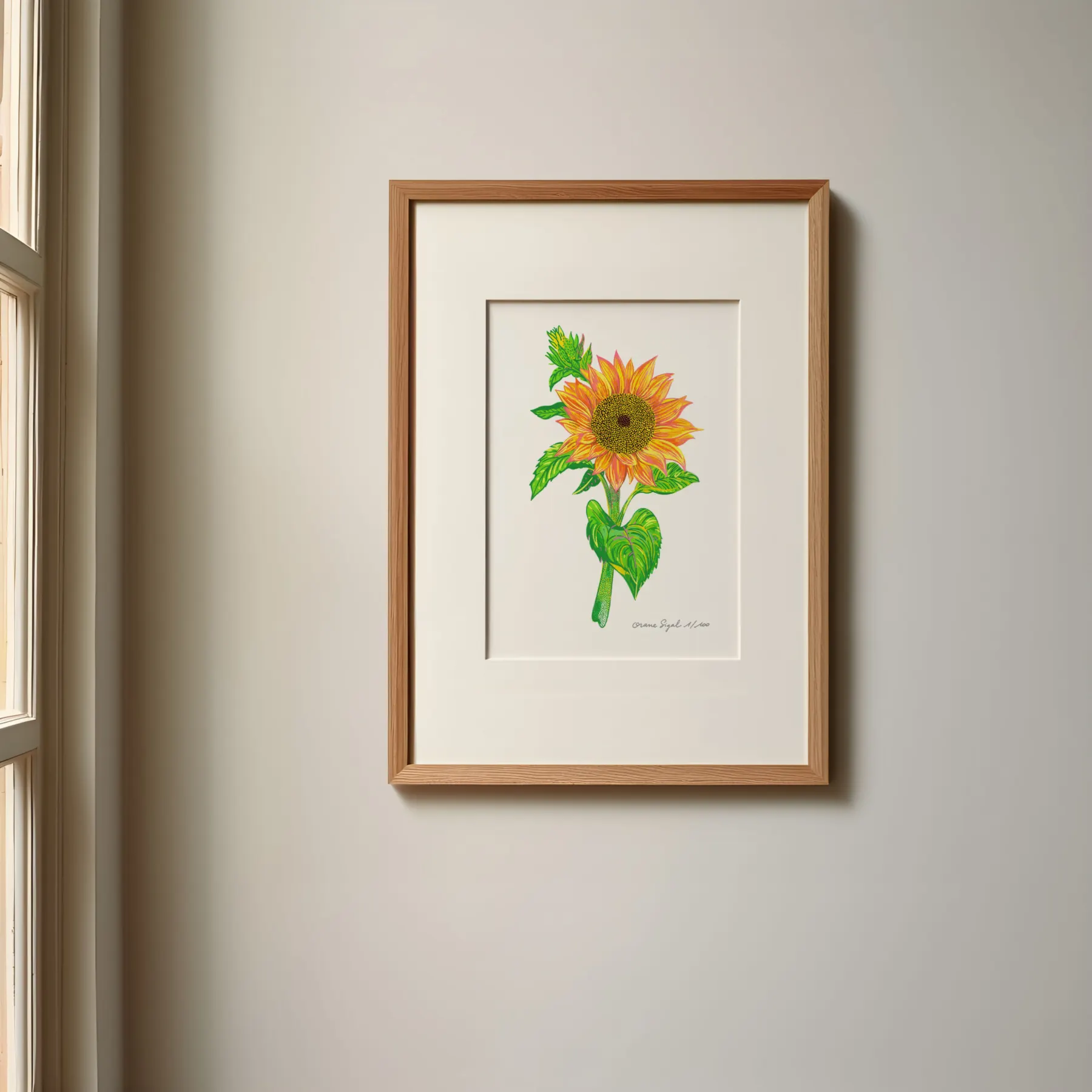 Tournesol orange et jaune aux grandes feuilles vertes sur fond blanc, tirage d'art illustré par Orane Sigal