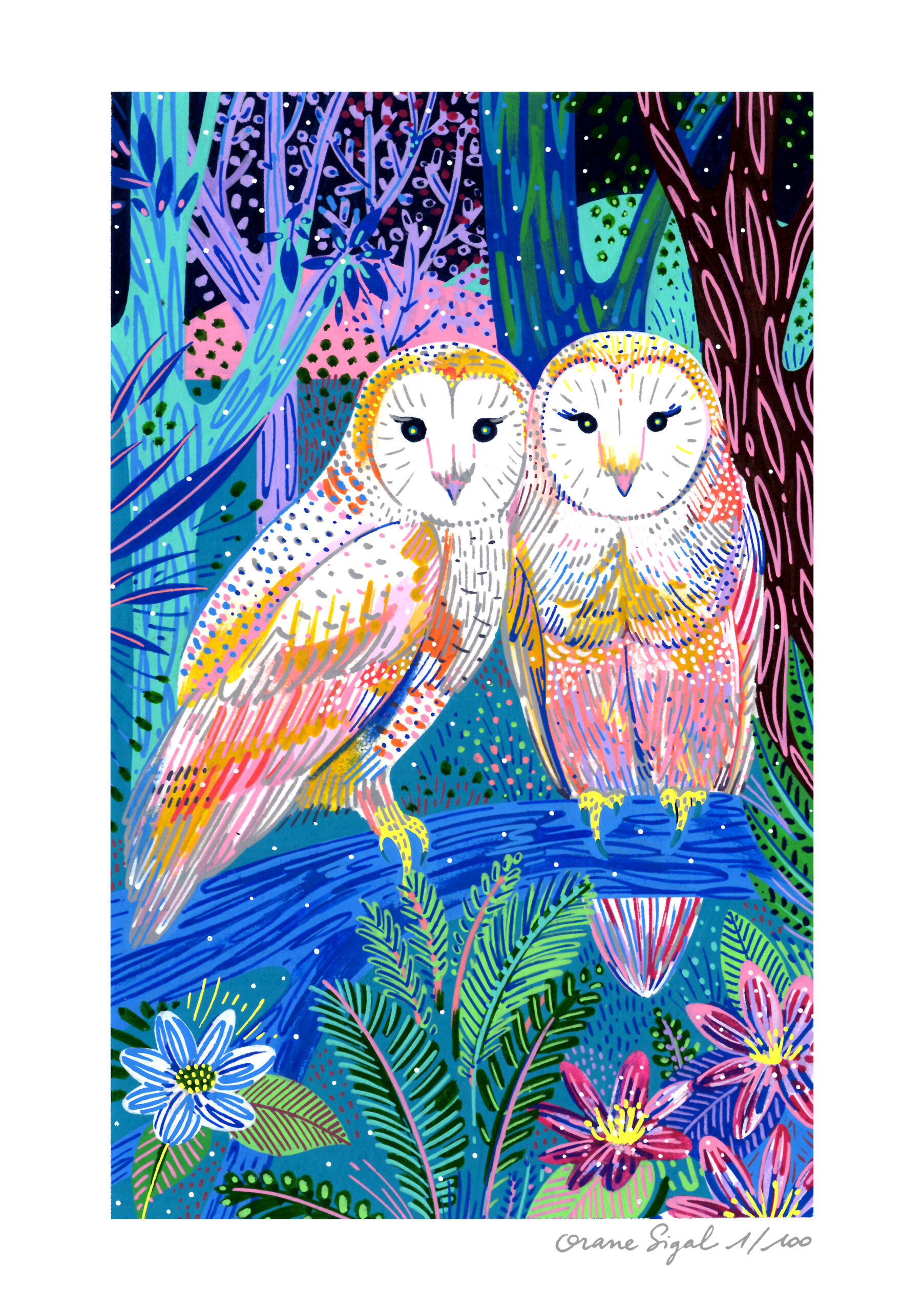 chouettes-orane-sigal-lasigalerie-tirage-illustration-lyon-3