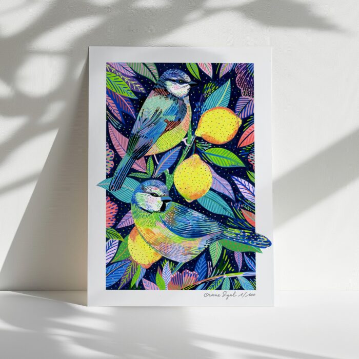 les-deux-mésanges-orane-sigal-lasigalerie-tirage-art-illustration-lyon-1