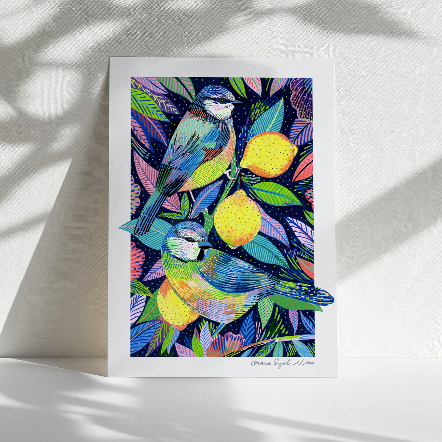 les-deux-mésanges-orane-sigal-lasigalerie-tirage-art-illustration-lyon-1