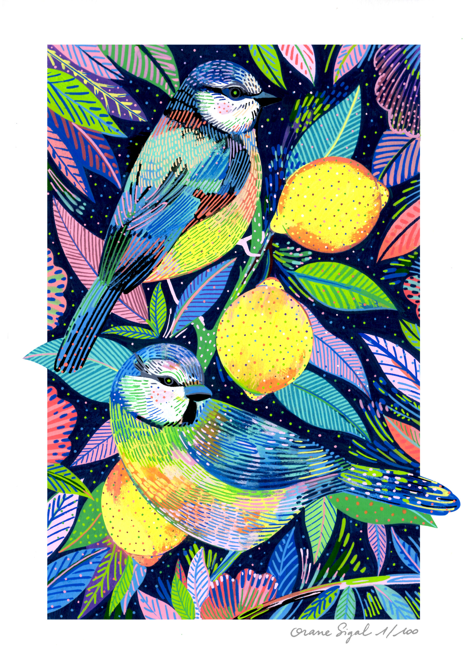 les-deux-mésanges-orane-sigal-lasigalerie-tirage-art-illustration-lyon-3