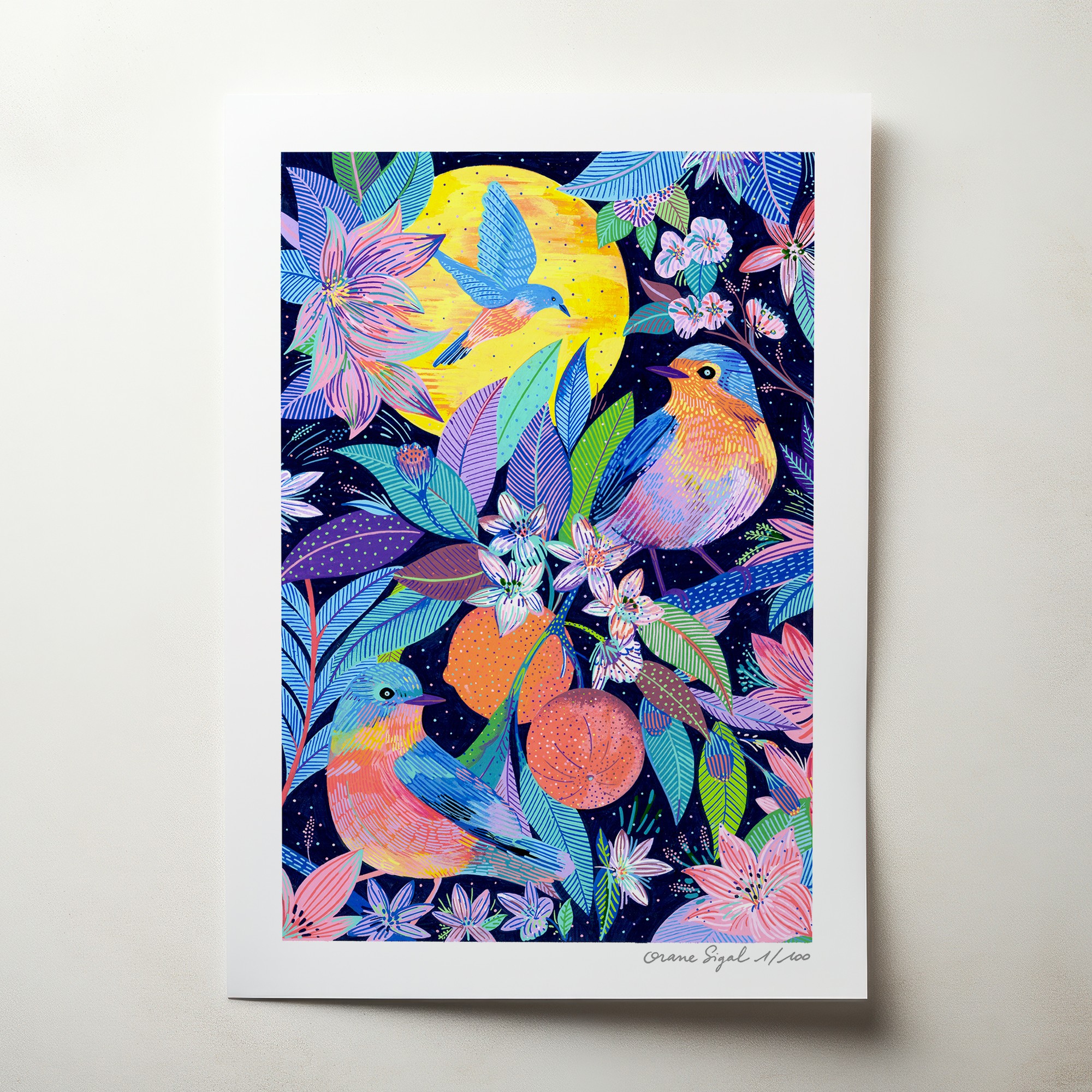rouges-gorges-orane-sigal-lasigalerie-tirage-art-illustration-lyon-1