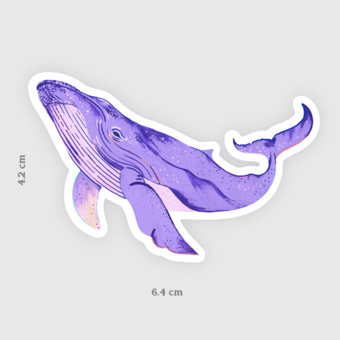 sticker-baleine-orane-sigal-sigalerie-1