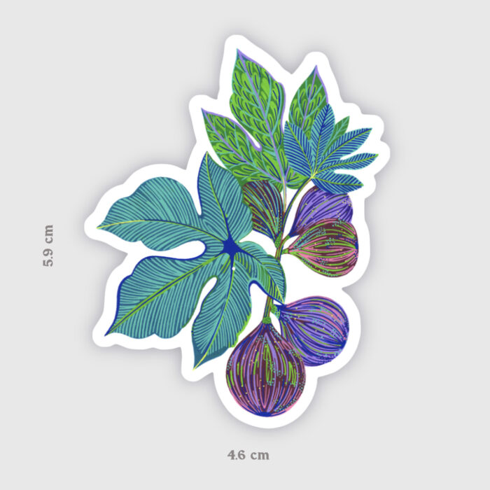 sticker-figues-orane-sigal-sigalerie-1