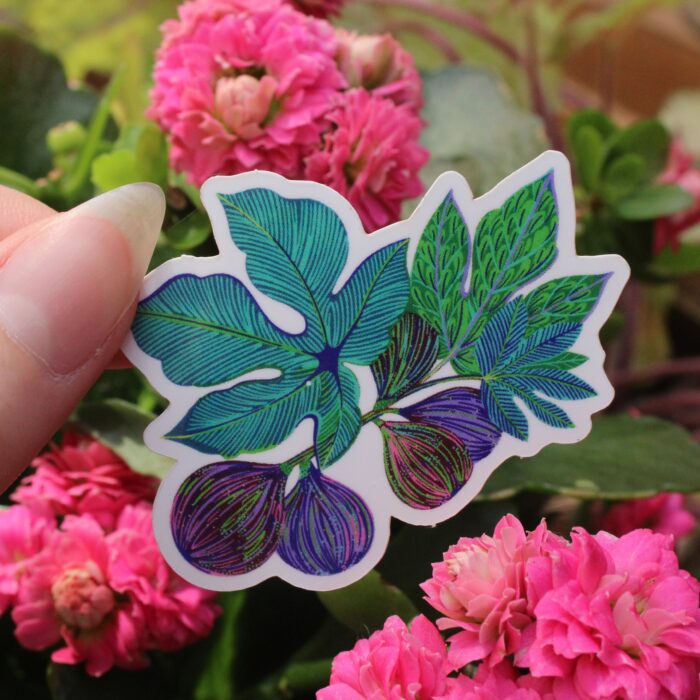 sticker-figues-orane-sigal-sigalerie-2
