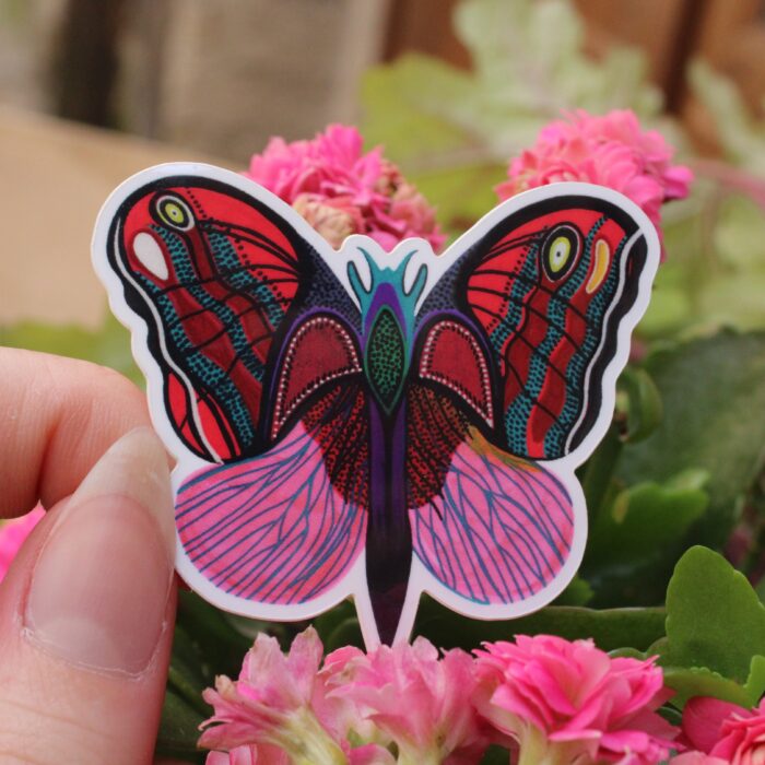sticker-papillon-de-nuit-orane-sigal-sigalerie-2