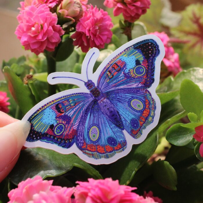 sticker-papillon-orane-sigal-sigalerie-2