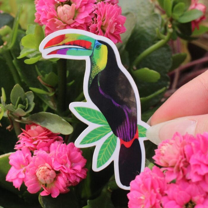sticker-toucan-orane-sigal-sigalerie-2