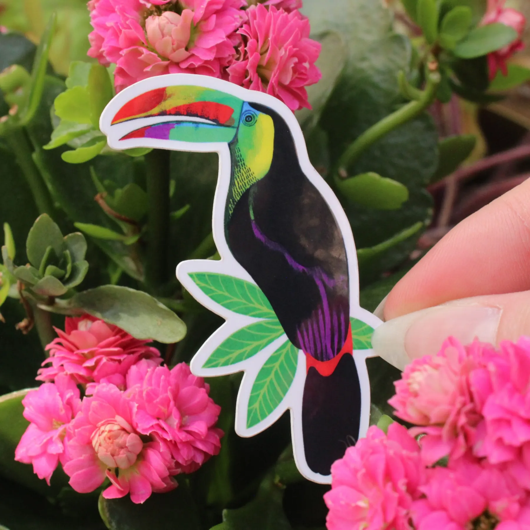 Toucan turquoise au bec vif perché sur un feuillage rose et violet, sticker illustré par Orane Sigal