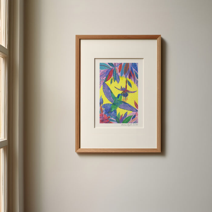 colibri-en-vol-oranesigal-lasigalerie-illstration-tirage-art-lyon- (2)