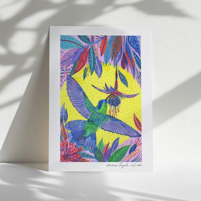 colibri-en-vol-oranesigal-lasigalerie-illstration-tirage-art-lyon- (3)