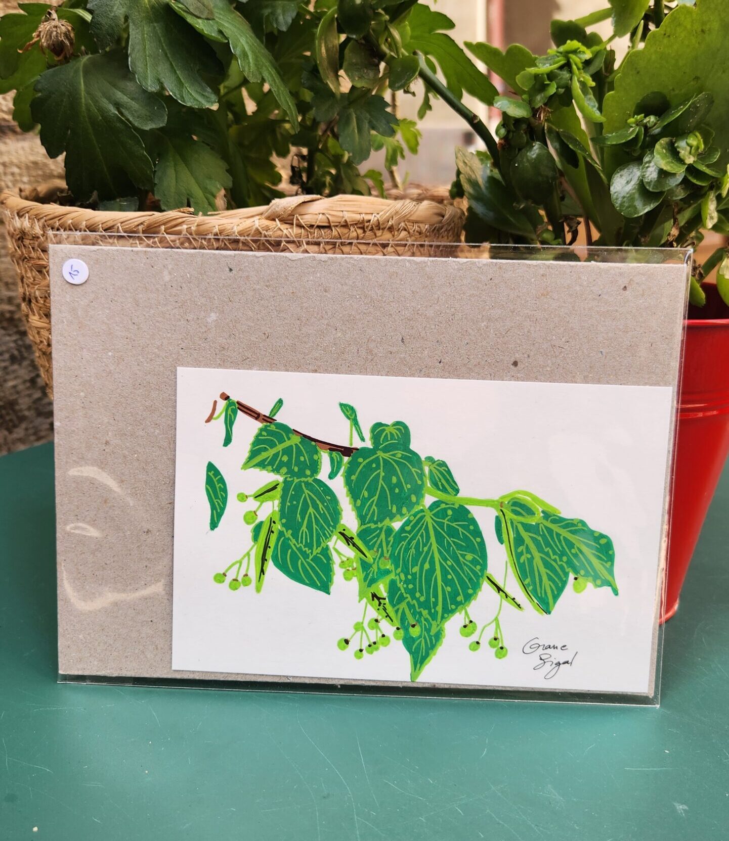 mini-original-orane-sigal