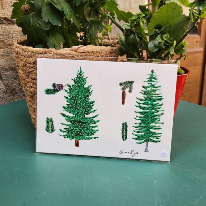 mini-original-orane-sigal
