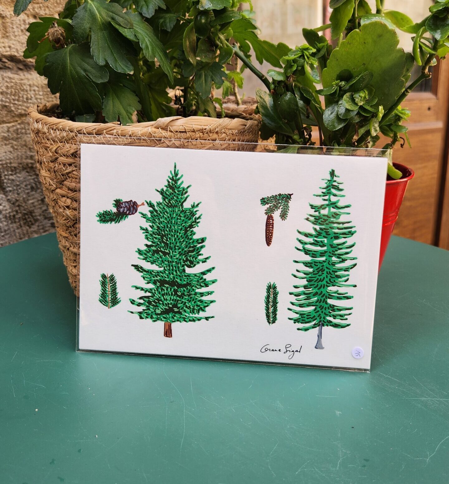 mini-original-orane-sigal