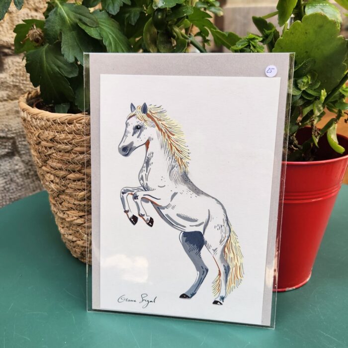 mini-original-orane-sigal