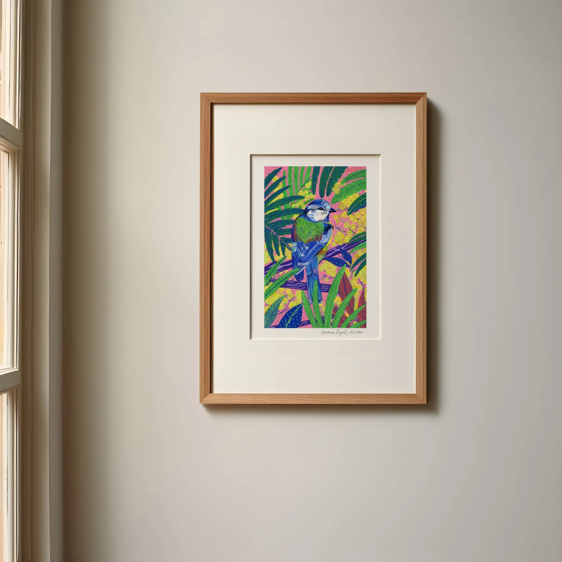 Mésange bleue et verte sur une branche, mimosas jaunes et palmes sur fond rose, tirage d'art illustré par Orane Sigal