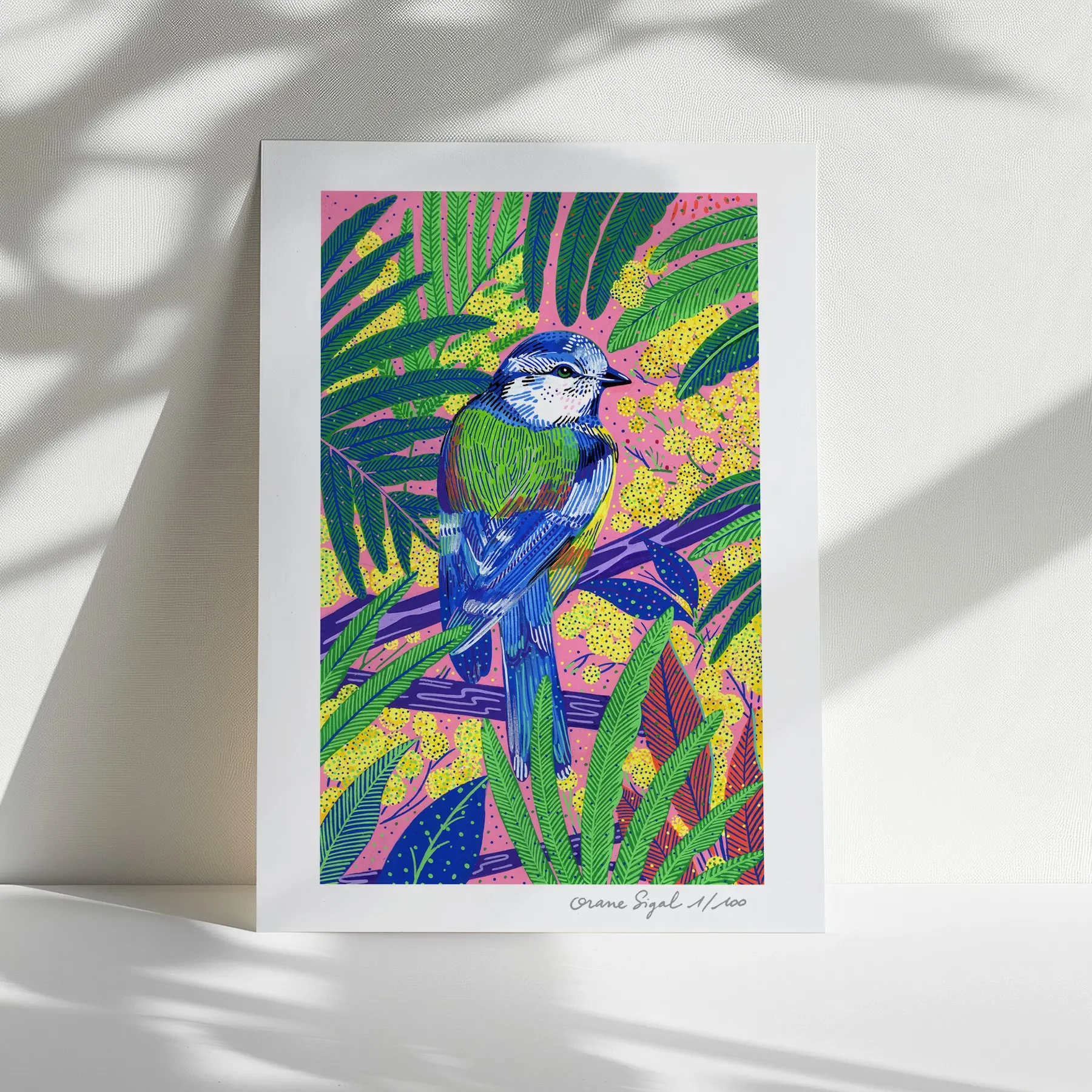 Mésange bleue et verte sur une branche, mimosas jaunes et palmes sur fond rose, tirage d'art illustré par Orane Sigal