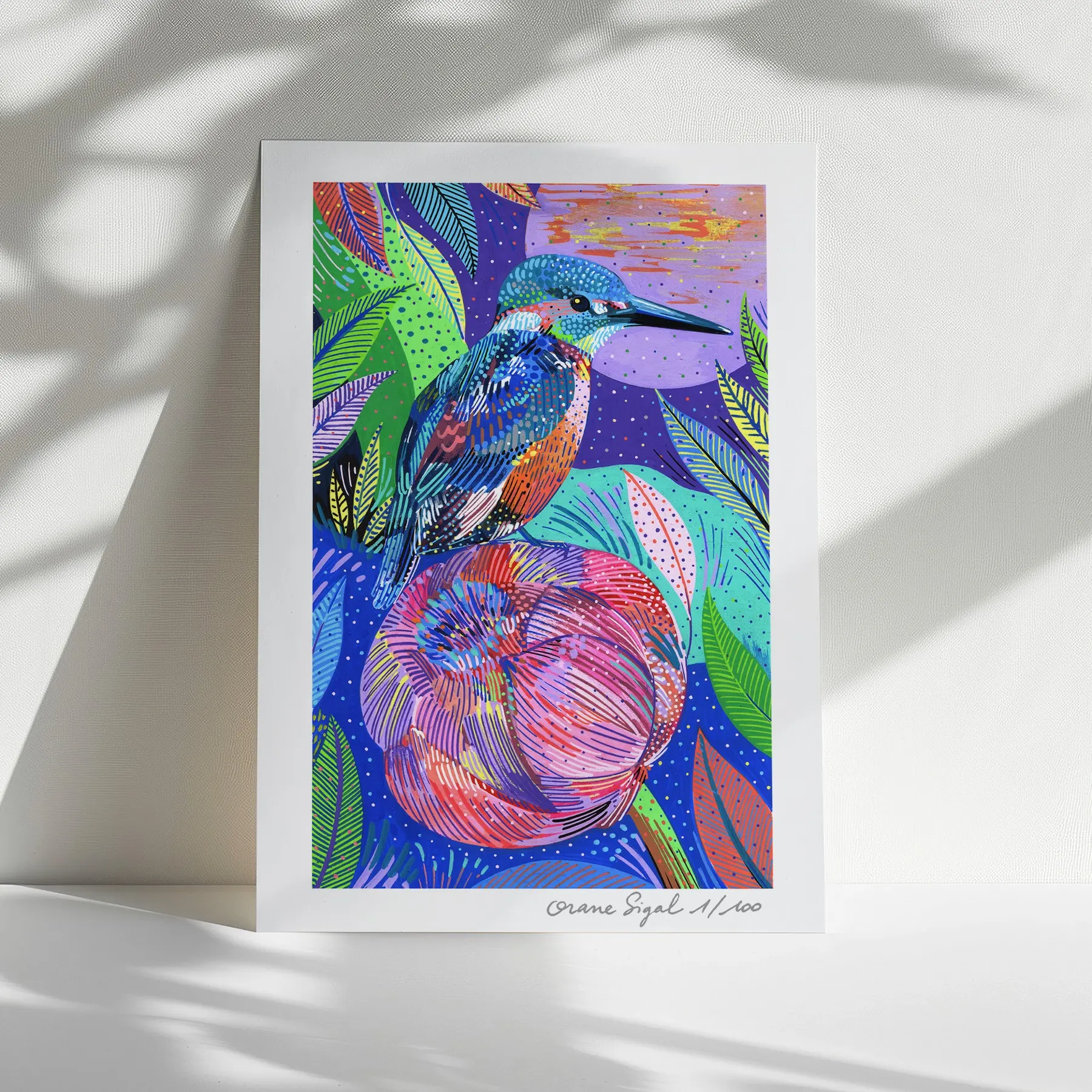 Martin-pêcheur coloré perché au-dessus d'un lotus rose, feuillages sur fond bleu nuit, tirage d'art illustré par Orane Sigal