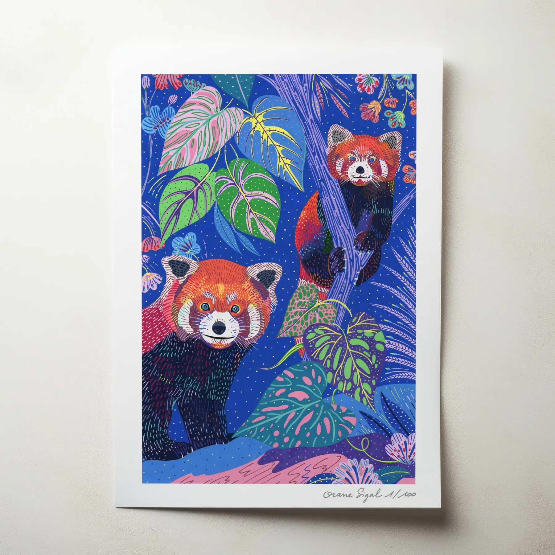 Deux pandas roux dans un feuillage foisonnant sur fond bleu nuit fleuri, tirage d'art illustré par Orane Sigal