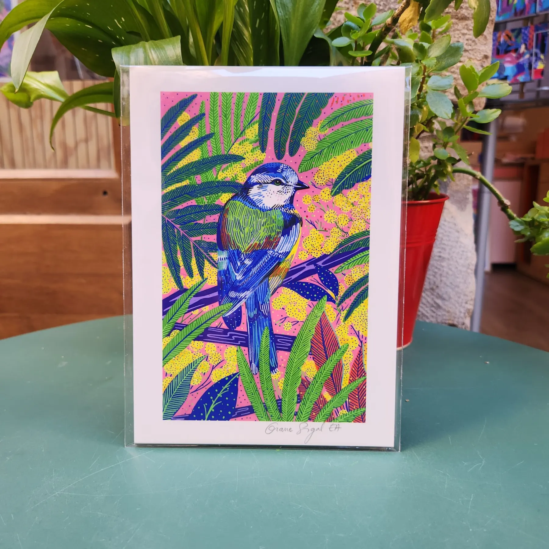 Mésange bleue et verte sur une branche, mimosas jaunes et palmes sur fond rose, tirage d'art illustré par Orane Sigal